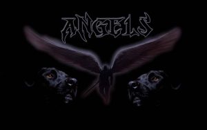 ΦΙΛΟΖΩΙΚΗ ΟΜΑΔΑ “ANGELS TEAM ATHENS” – Αθήνα